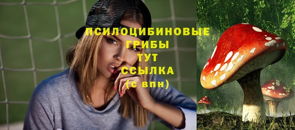 дживик Арсеньев