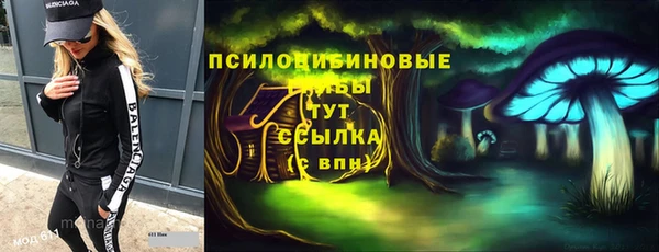 дживик Арсеньев