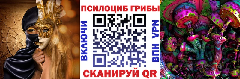 как найти закладки  ссылка на мегу сайт  Псилоцибиновые грибы мицелий  Устюжна 